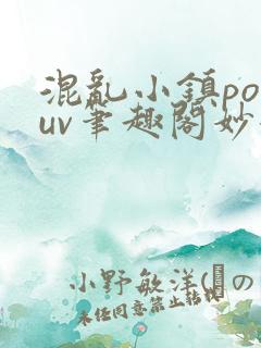 混乱小镇popuv笔趣阁妙妙