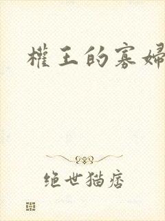 权王的寡妇糖妃