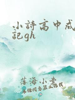 小诗高中成长日记gh