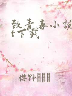 致青春小说txt下载