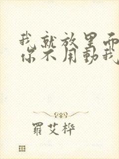 我就放里面不动你不用动我动