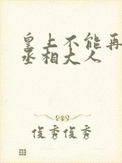 皇上不能再进了丞相大人