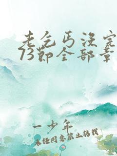 老乞丐没完没了73节全部章节内容