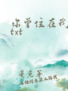 你曾住在我心上txt