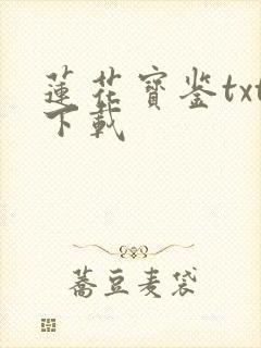 莲花宝鉴txt下载