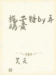 栀子糖by弄白鹅黄