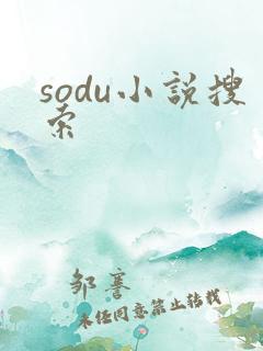 sodu小说搜索