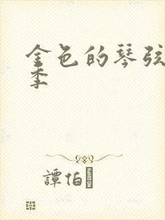 金色的琴弦第二季