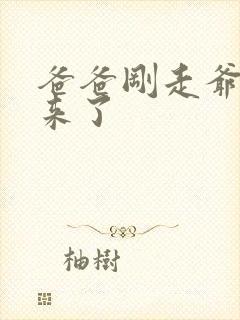 爸爸刚走爷爷就来了