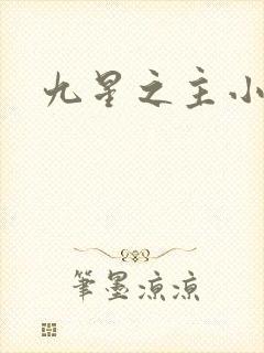 九星之主小说
