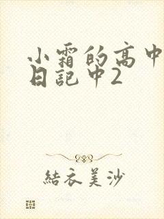 小霜的高中成长日记中2