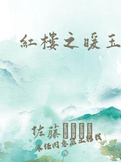 红楼之暖玉