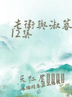 老卫与淑蓉1一12集