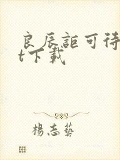 良辰讵可待txt下载