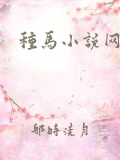种马小说网