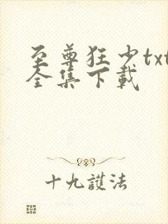 至尊狂少txt全集下载