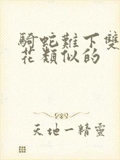 骑蛇难下双金银花类似的