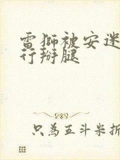 雷狮被安迷修强行掰腿