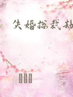 失婚总裁劫前妻