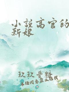 小说高官的暗夜新娘