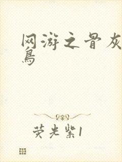 网游之骨灰级菜鸟