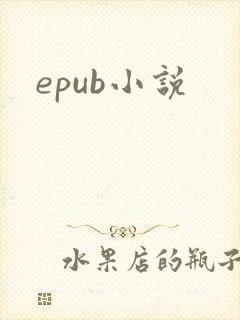 epub小说