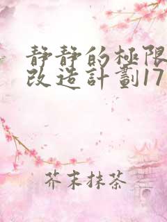 静静的极限自我改造计划17
