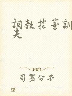 调教花蒂训诫从夫