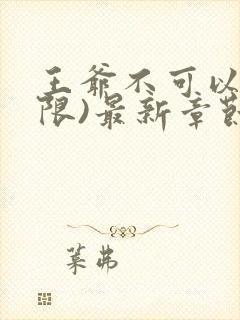 王爷不可以!(限)最新章节