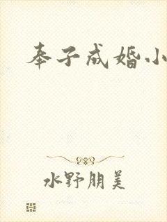 奉子成婚小说