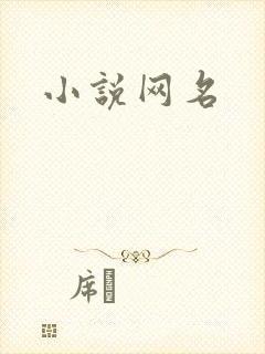小说网名