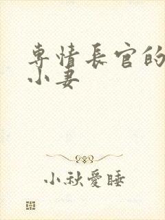 专情长官的天价小妻