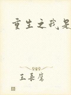 重生之我是杨过