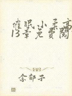 催眠小柔高达第13章免费阅读