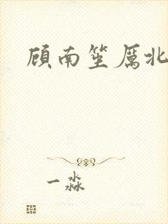 顾南笙厉北城