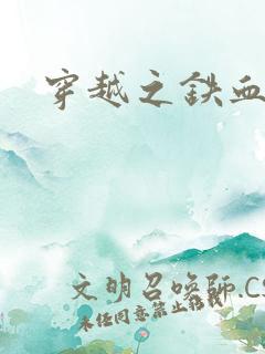 穿越之铁血抗战