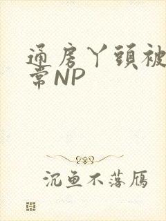 通房丫头被肉日常NP