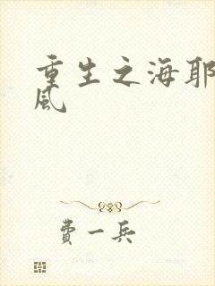 重生之海耶斯旋风