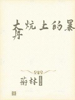 大炕上的暴伦小丹