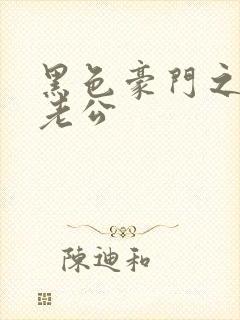 黑色豪门之王子老公