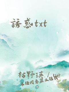 诱惑txt