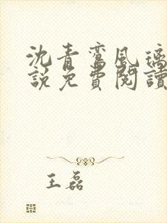 沈青鸾风璃宸小说免费阅读