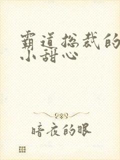 霸道总裁的宠爱小甜心