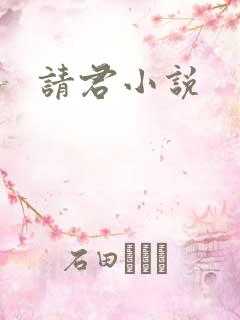 请君小说