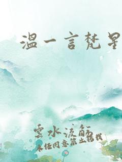 温一言梵星小说