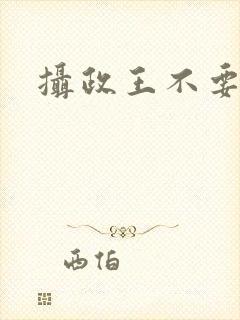 摄政王不要