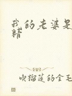 我的老婆是狐狸精