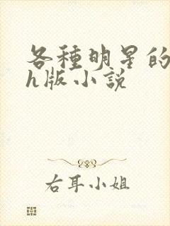 各种明星的综艺h版小说