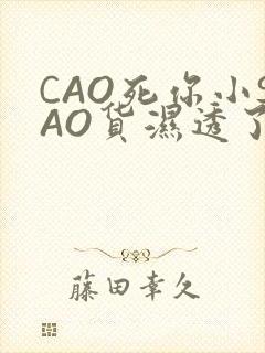 CAO死你小SAO货湿透了学长