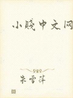 小贱中文网